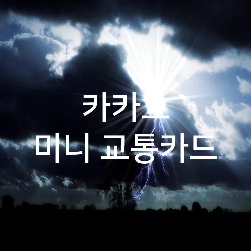 카카오 미니 교통카드