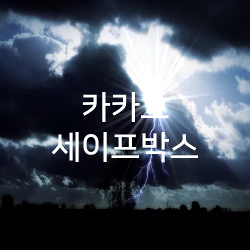 카카오 세이프박스