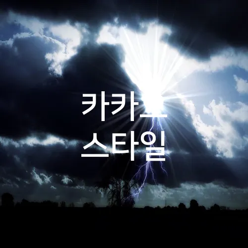 카카오 스타일
