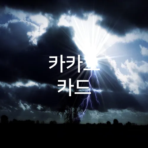 카카오 카드