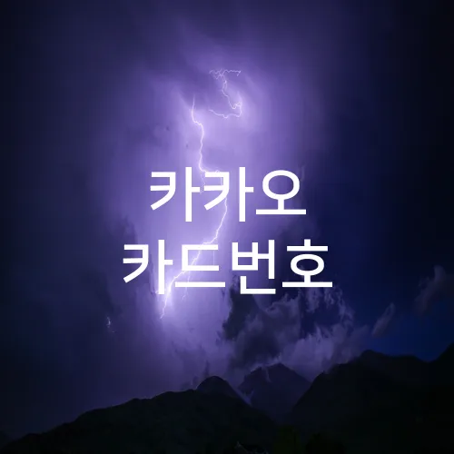 카카오 카드번호