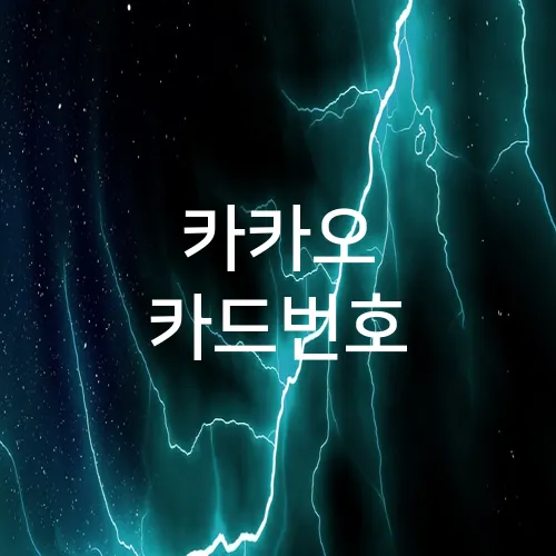 카카오 카드번호
