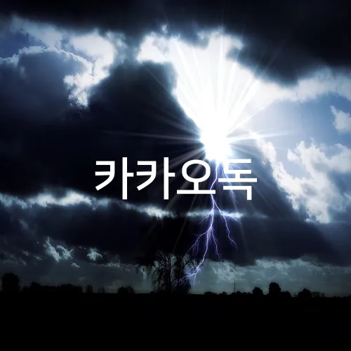 카카오독