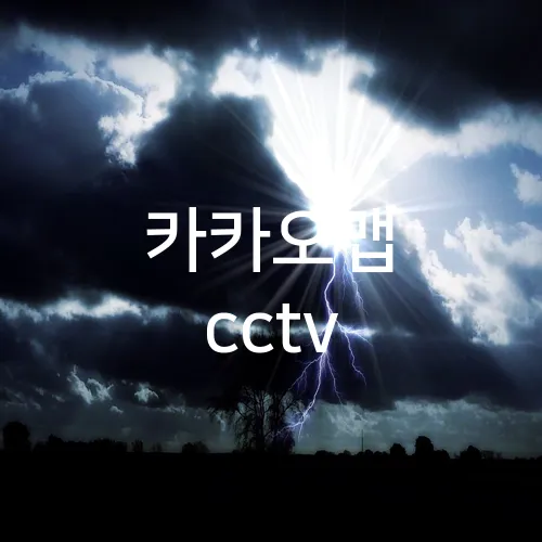 카카오맵 cctv