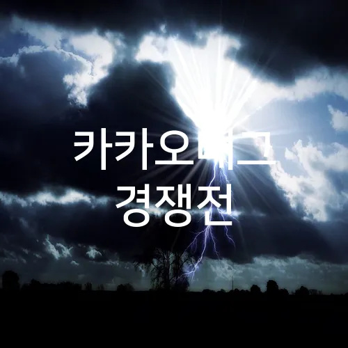 카카오배그 경쟁전
