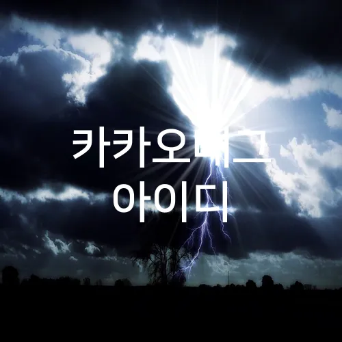 카카오배그 아이디