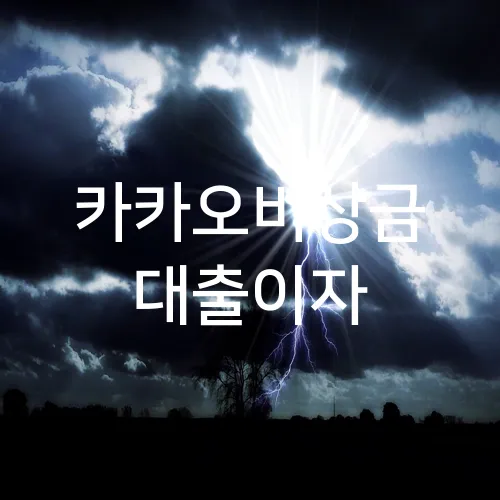 카카오비상금 대출이자