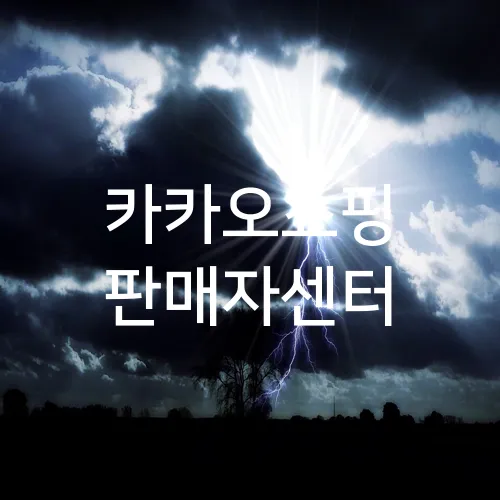 카카오쇼핑 판매자센터