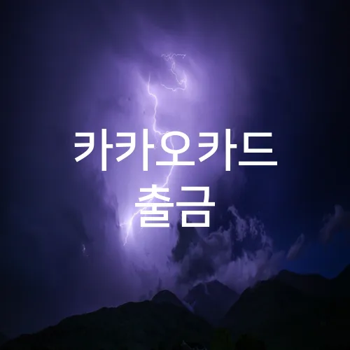 카카오카드 출금