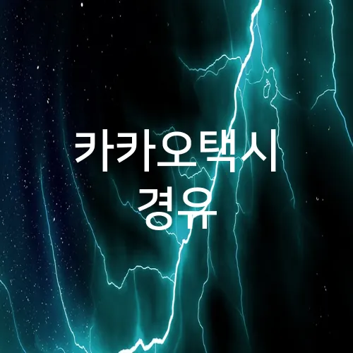 카카오택시 경유