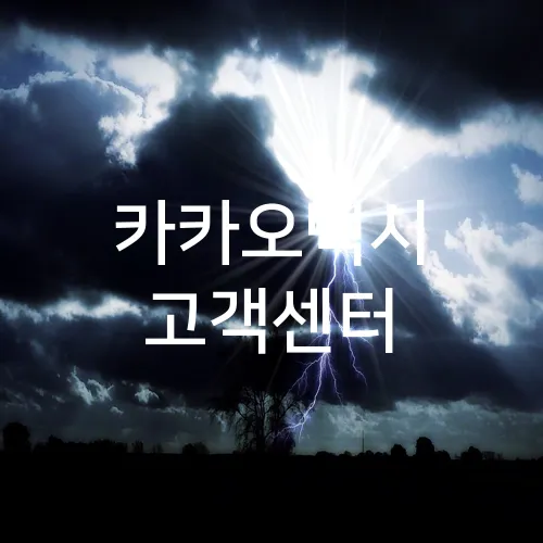 카카오택시 고객센터