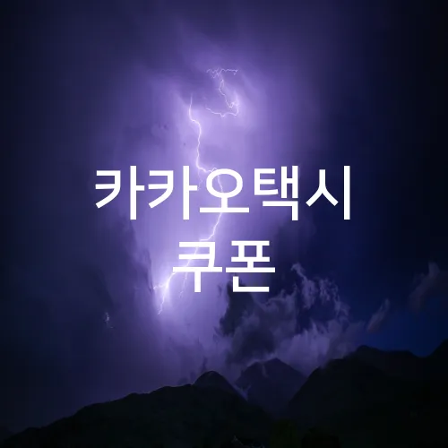 카카오택시 쿠폰