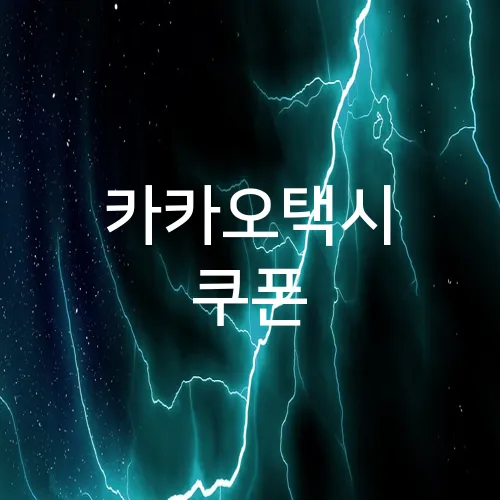 카카오택시 쿠폰
