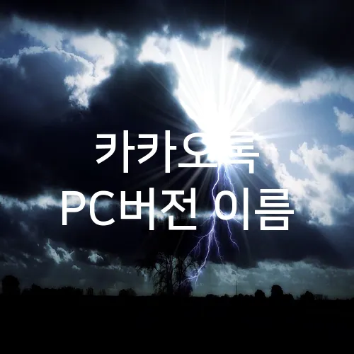 카카오톡 PC버전 이름
