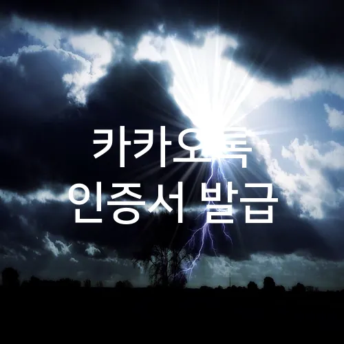 카카오톡 인증서 발급