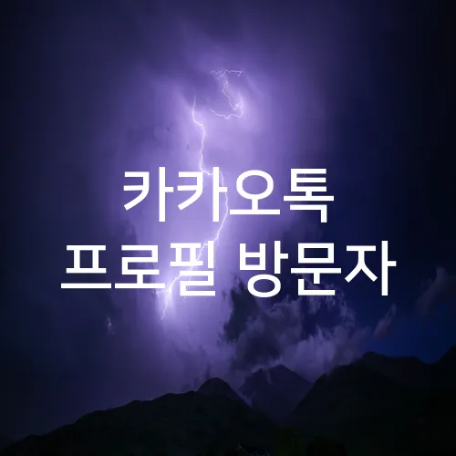 카카오톡 프로필 방문자