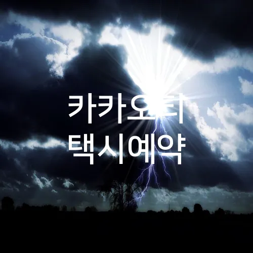카카오티 택시예약