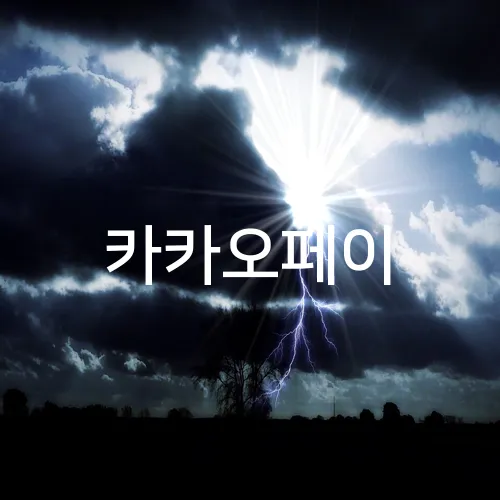 카카오페이