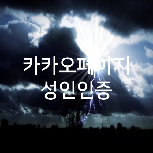 카카오페이지 성인인증