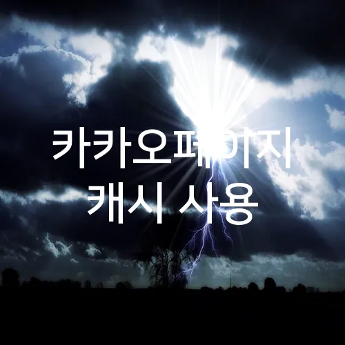 카카오페이지 캐시 사용