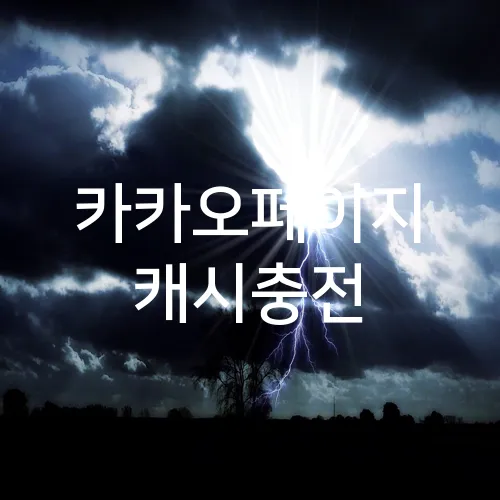카카오페이지 캐시충전