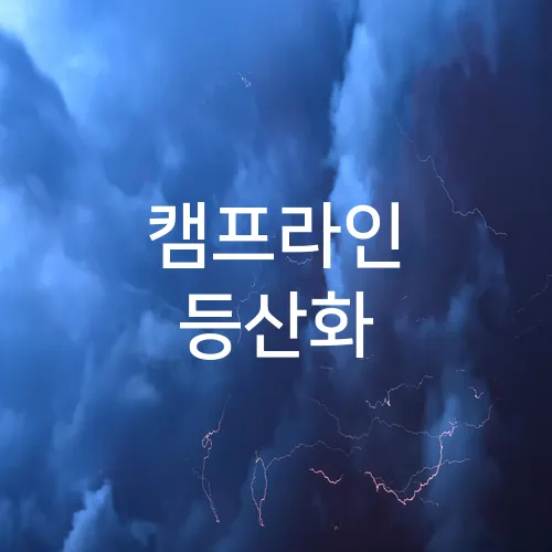 캠프라인 등산화
