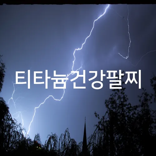 티타늄건강팔찌