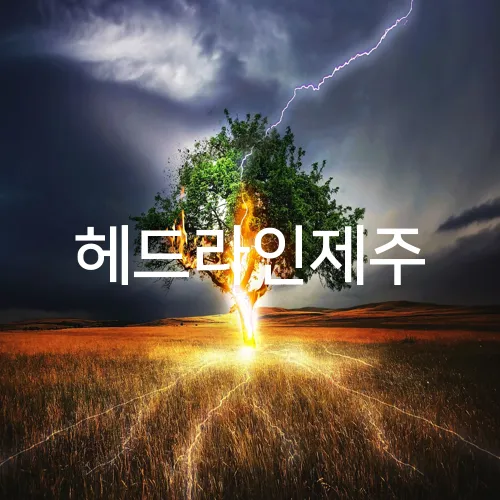 헤드라인제주