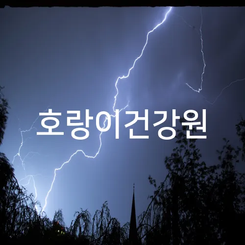 호랑이건강원