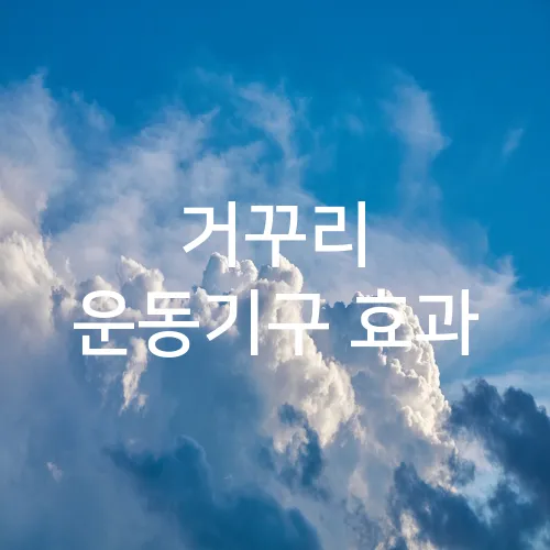거꾸리 운동기구 효과