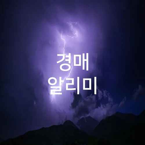 경매 알리미