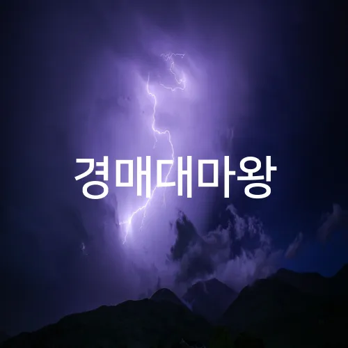 경매대마왕