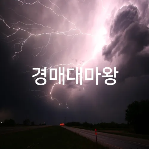 경매대마왕