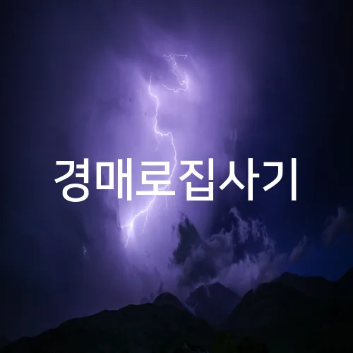 경매로집사기