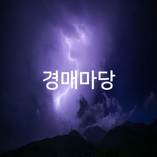 경매마당