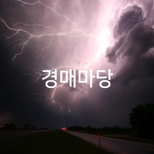 경매마당