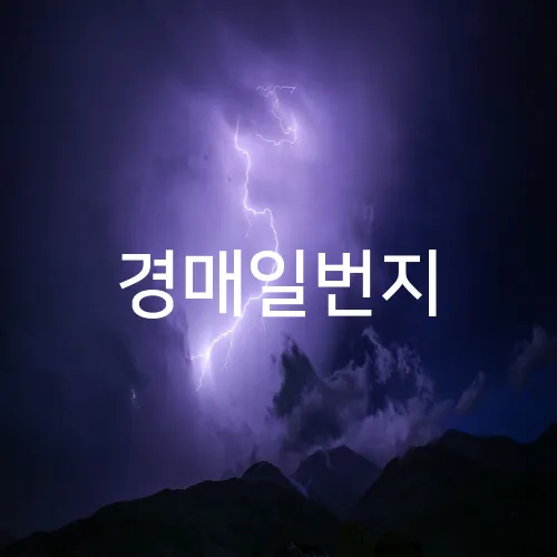 경매일번지