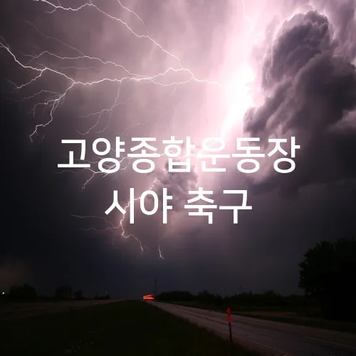 고양종합운동장 시야 축구
