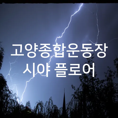 고양종합운동장 시야 플로어