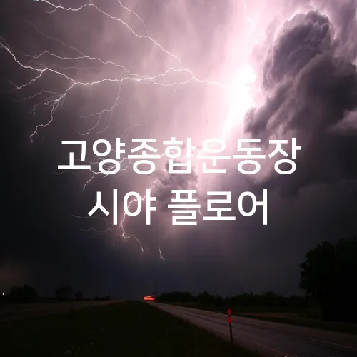 고양종합운동장 시야 플로어