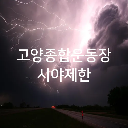 고양종합운동장 시야제한