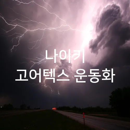 나이키 고어텍스 운동화