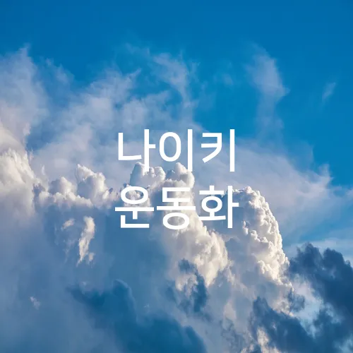 나이키 운동화