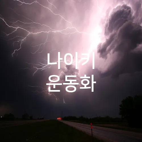 나이키 운동화