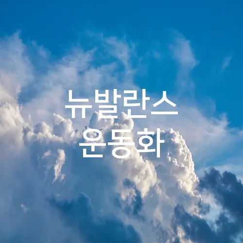뉴발란스 운동화