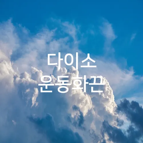 다이소 운동화끈