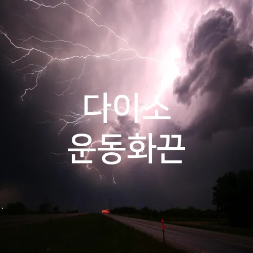 다이소 운동화끈