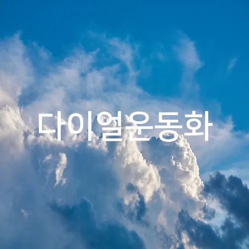 다이얼운동화