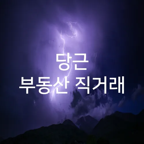 당근 부동산 직거래