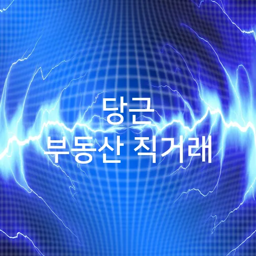 당근 부동산 직거래